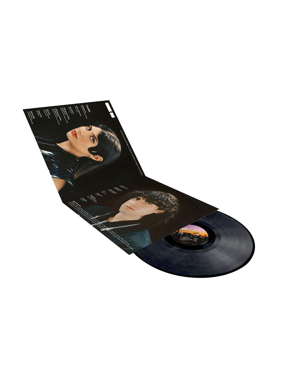 Vinyle Downloading a New Operating System - Quasi Qui