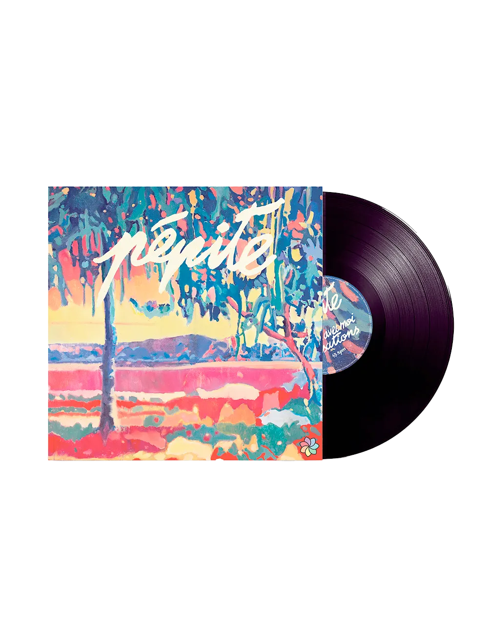 RENAISSANCE VINYLE PEPITE